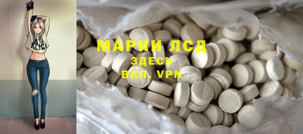стаф Аркадак