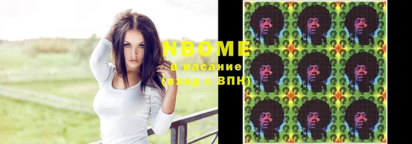 стаф Аркадак