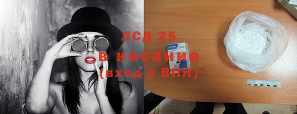 стаф Аркадак