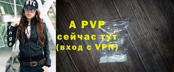 стаф Аркадак
