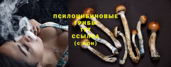PSILOCYBIN Баксан